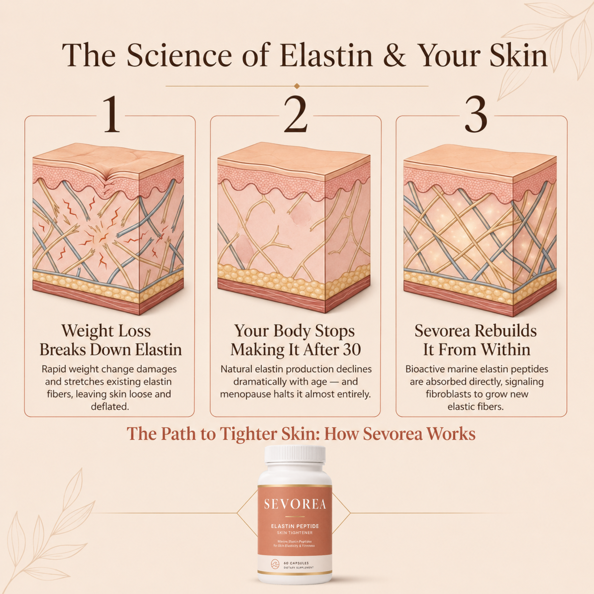 Sevorea™ Elastin Peptide Formula
